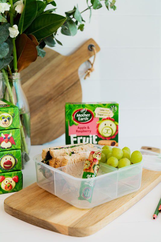 Mother Earth Fruit Sticks